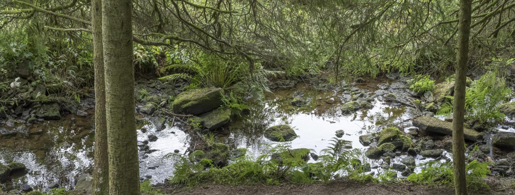 Meer ruimte voor de Grote Beek