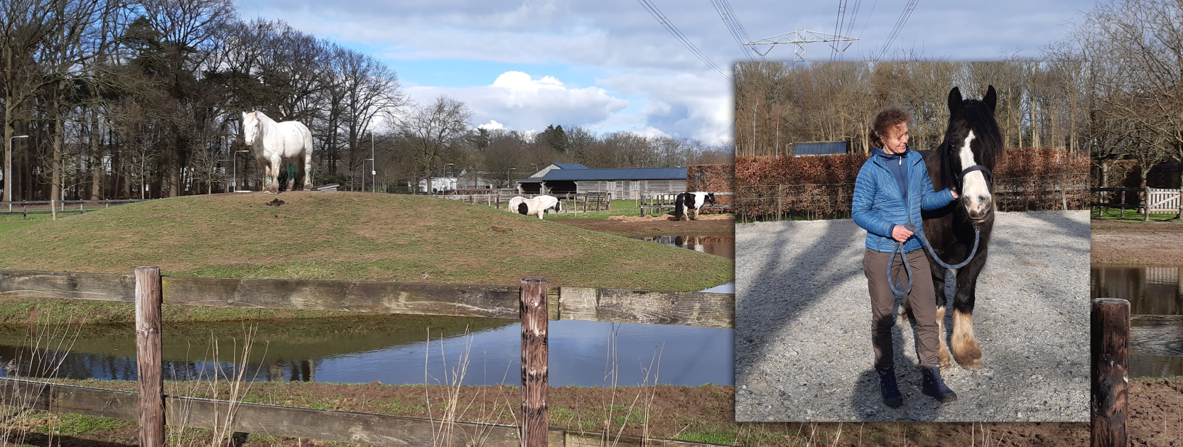 Dorien en de Paardenhoeve