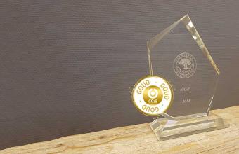 Inspanningen medewerkers GGzE bekroond met GOUD!