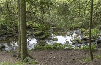 Meer ruimte voor de Grote Beek