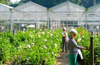 dagbesteding De Tuin