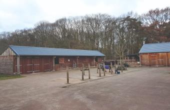 De Paardenhoeve
